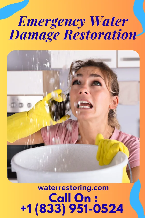 Emergency Water Damage Restoration in Pink Hill, NC
