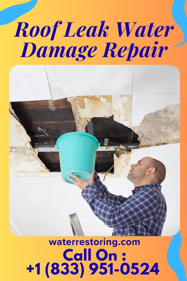 Roof Leak Water Damage Repair in Pink Hill, NC